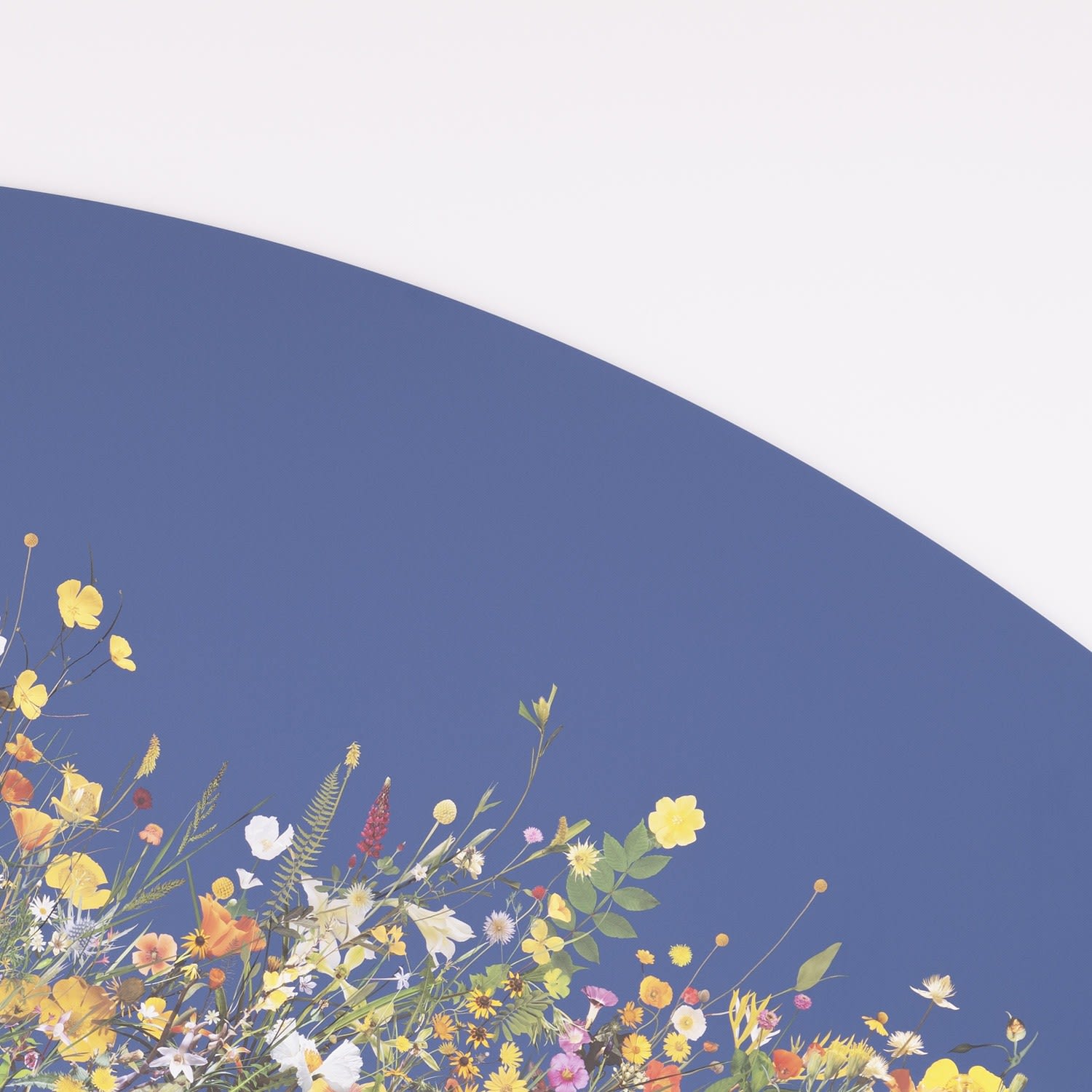 Stephen Eichhorn, In & Out of the Garden (Summer), 2024