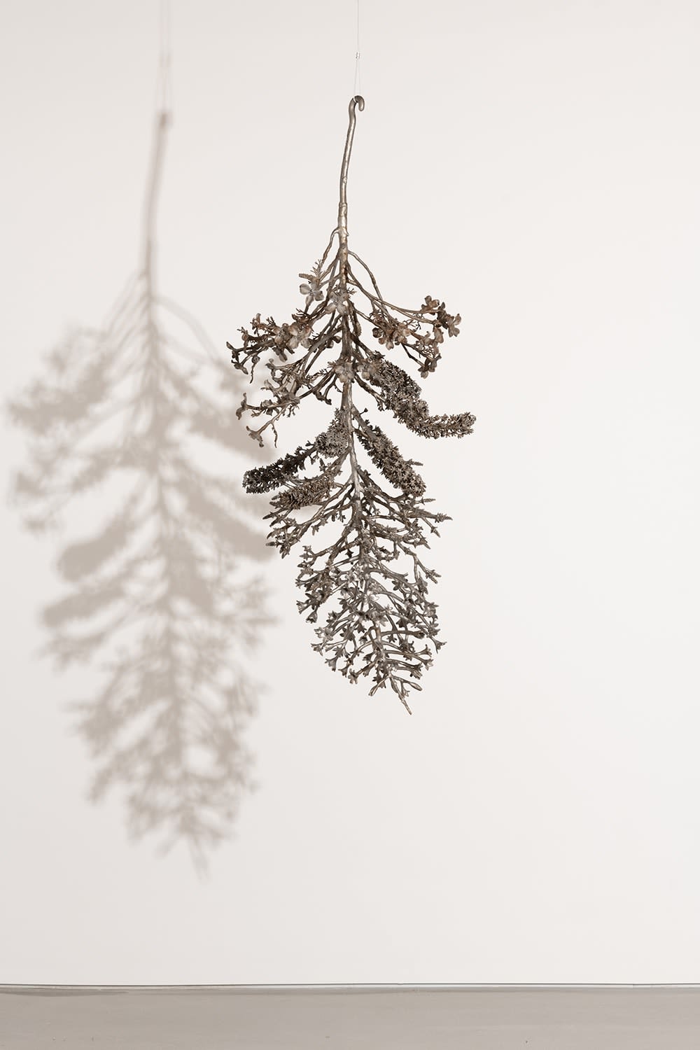 Carolyn Ottmers, Splice #8 (CO10LLOYDM), 2010