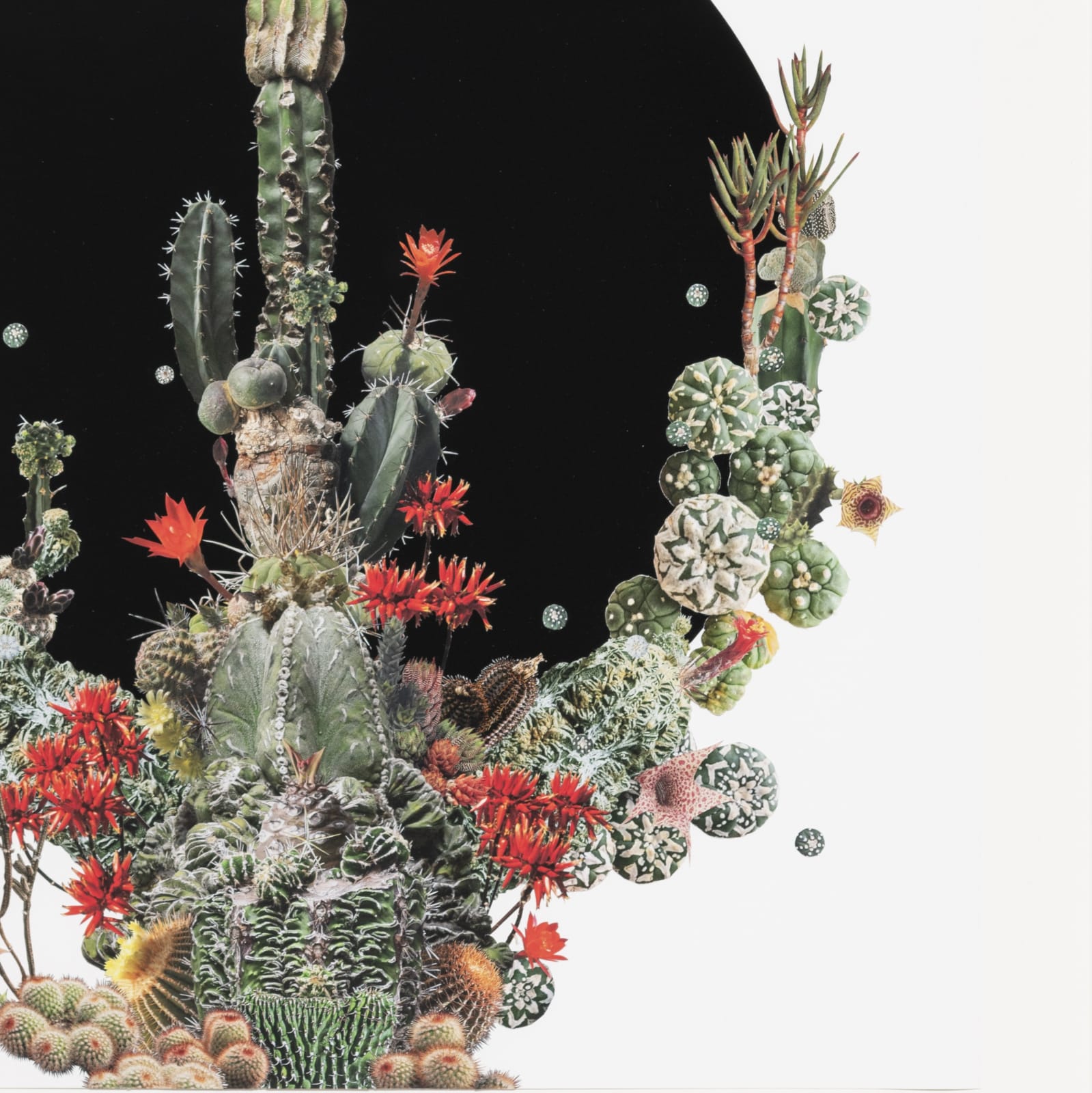 Stephen Eichhorn, Black Circle (Voidground), 2024