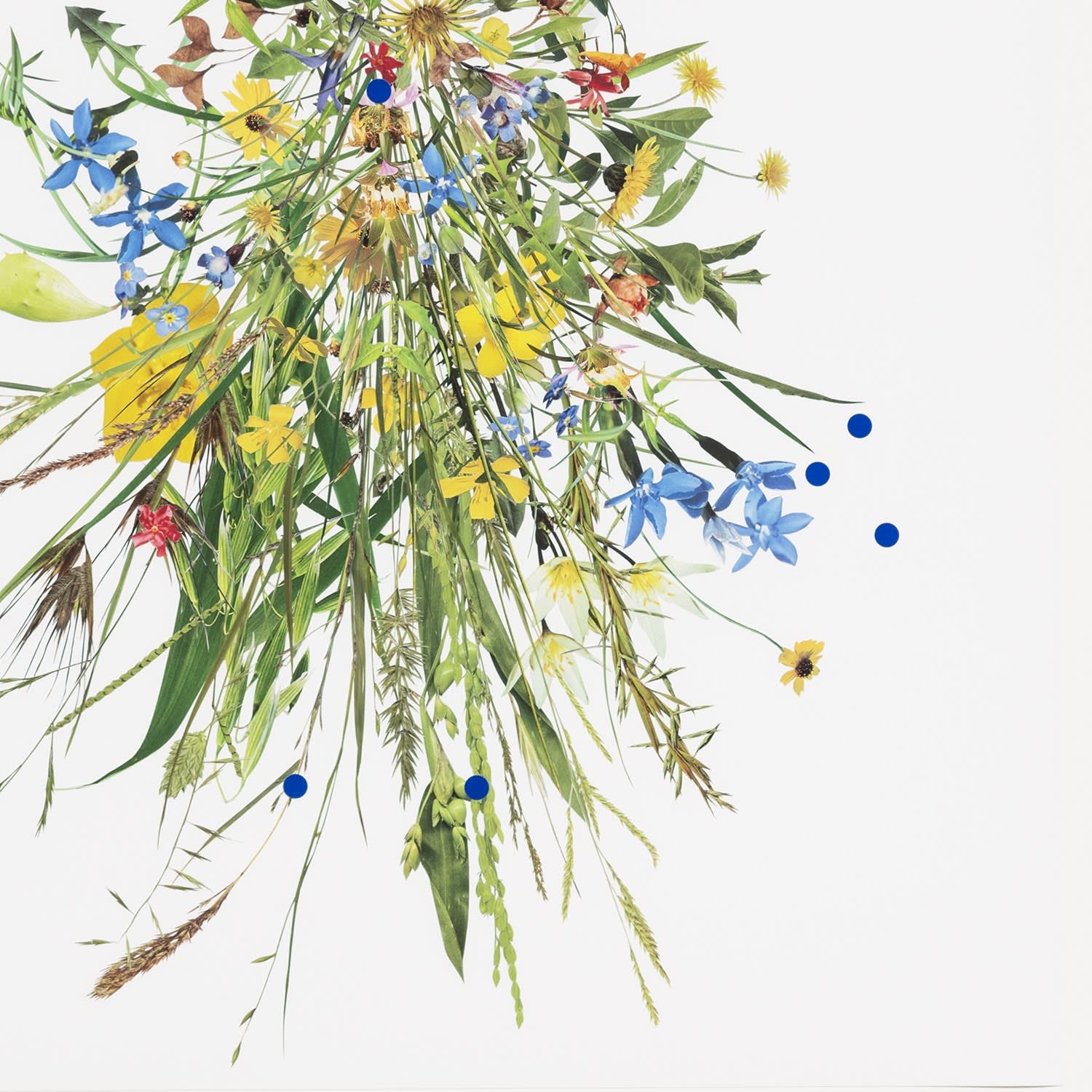 Stephen Eichhorn, Drape (Points), 2024