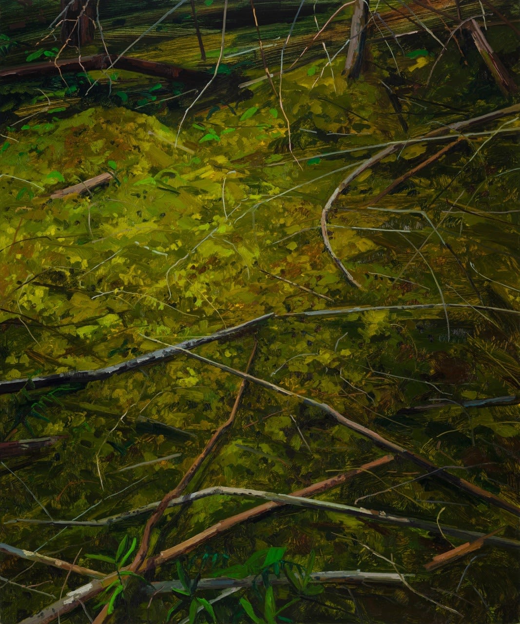 Claire Sherman, Moss and Branches, 2018
