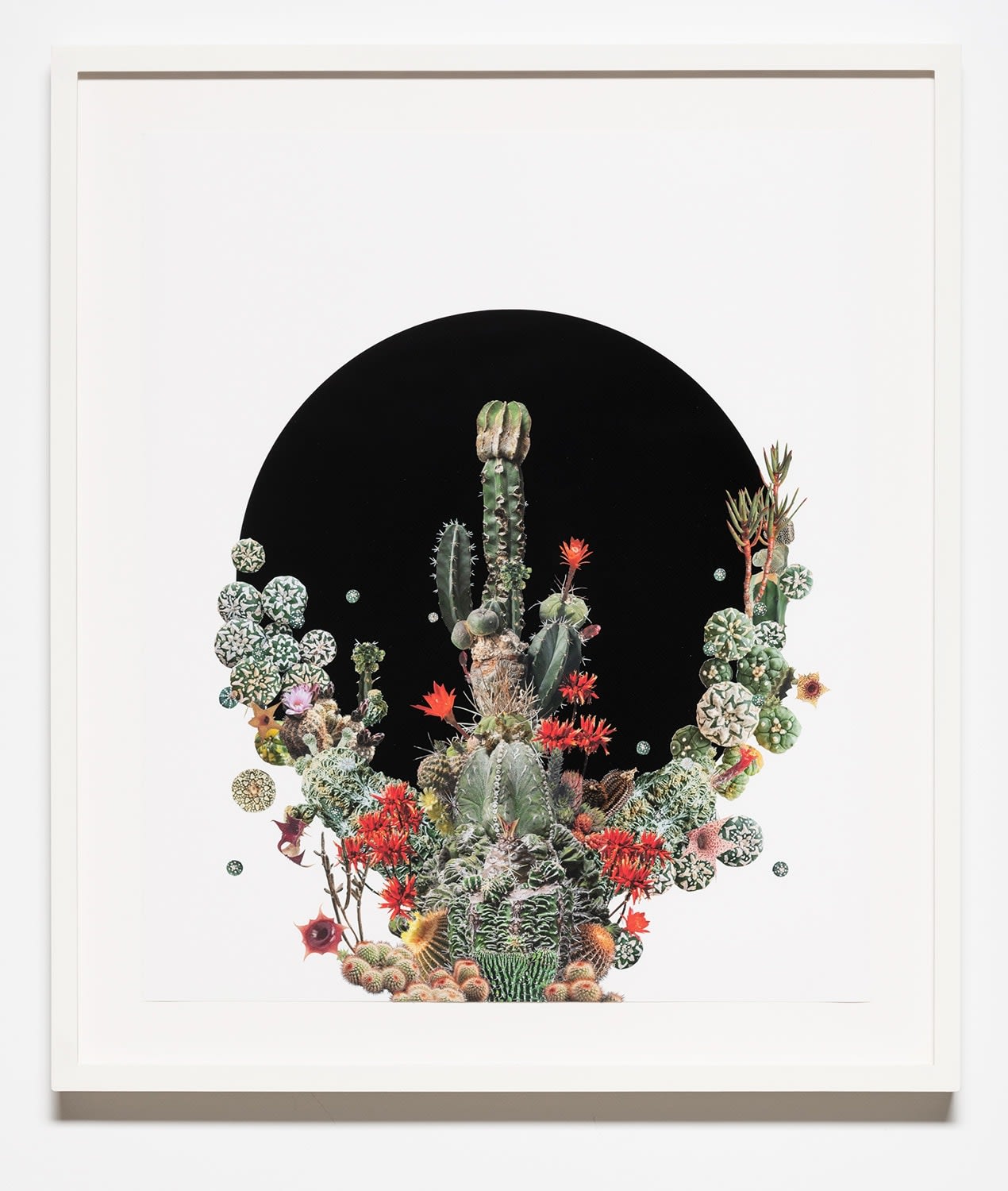 Stephen Eichhorn, Black Circle (Voidground), 2024