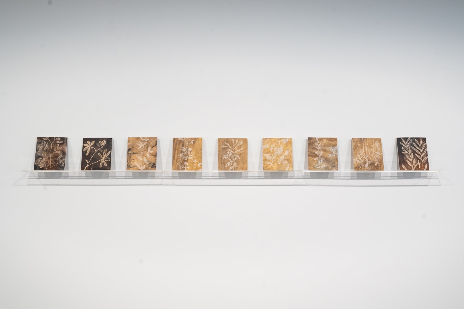 Herbarium 2, 2025
