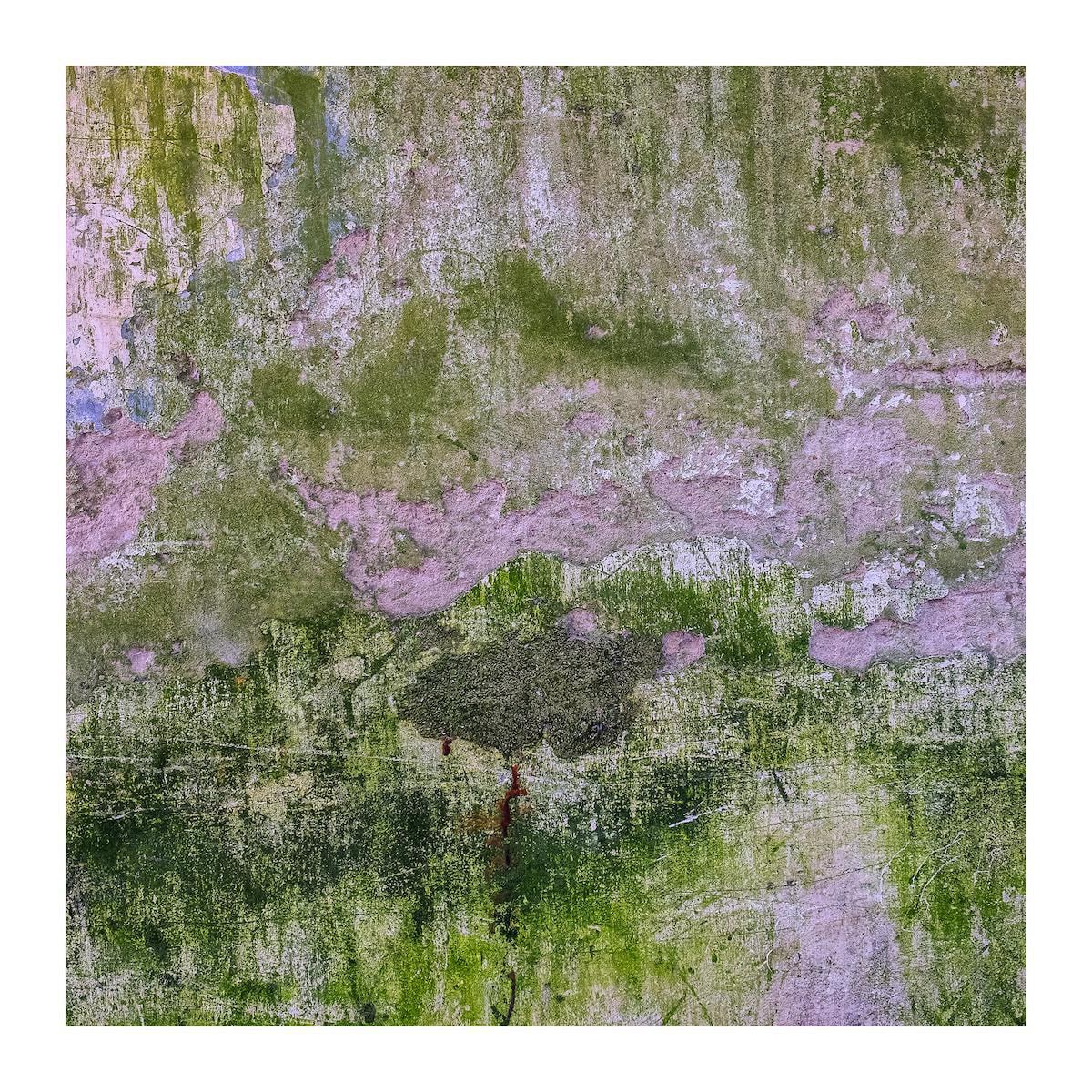 Jellel Gasteli, Untitled (Photographies No. XVII), 2018