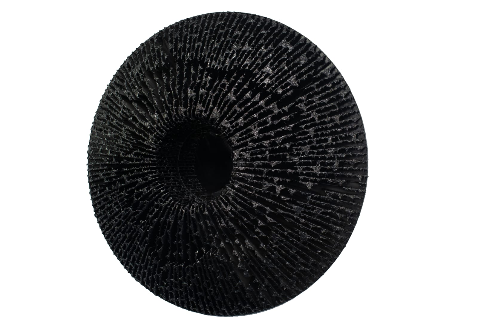 Vasily Klyukin, 1DGL, 2019-2021