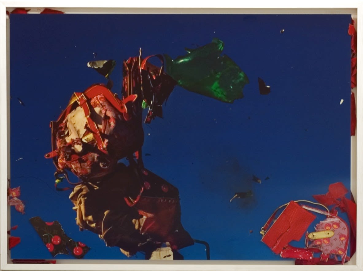 Jordan Doner, Consumer Study I: Louis Vuitton Murakami Series, 2009-2013