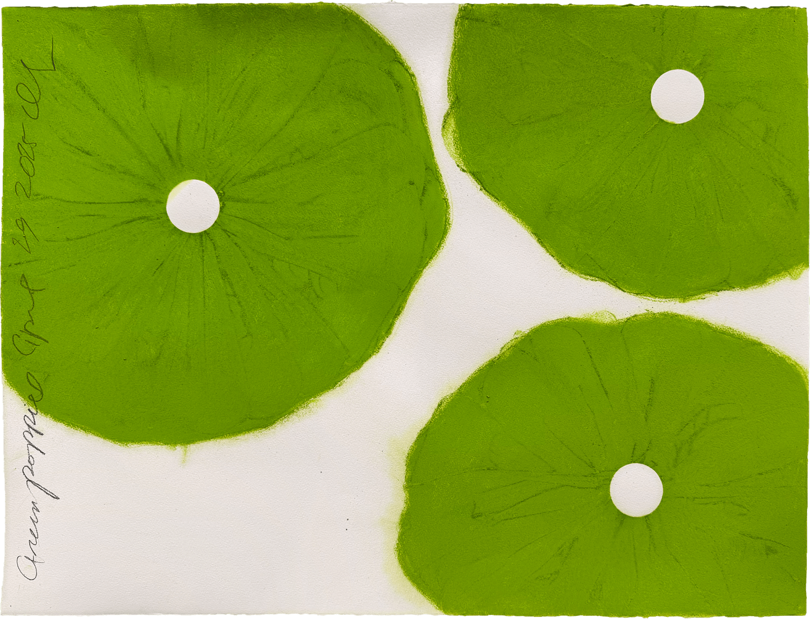 Donald Sultan, Green Poppies April 29 2025, 2025