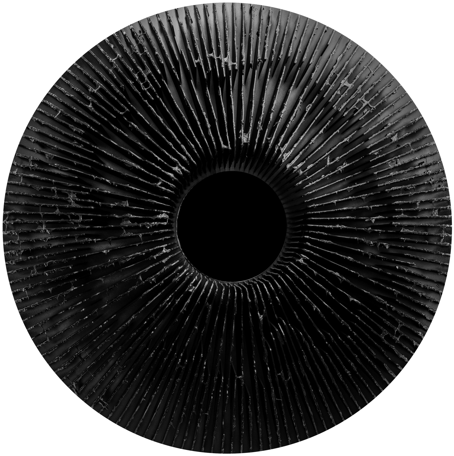 Vasily Klyukin, DSO6, 2019-2021