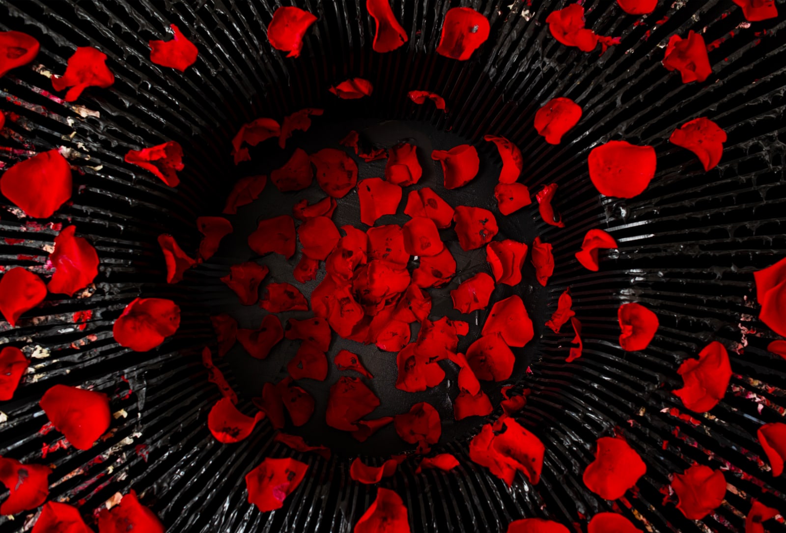 Vasily Klyukin, CRMN, 2019-2021