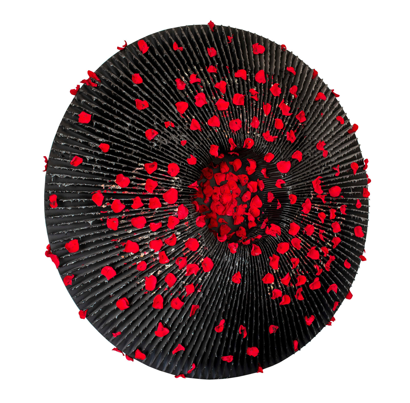 Vasily Klyukin, CRMN, 2019-2021