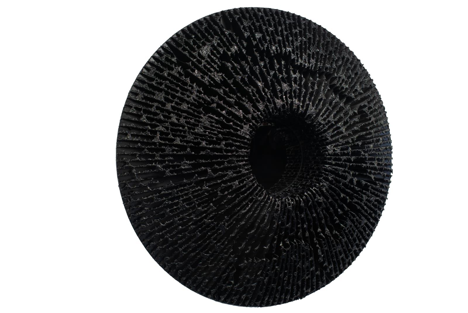 Vasily Klyukin, 1DGL, 2019-2021