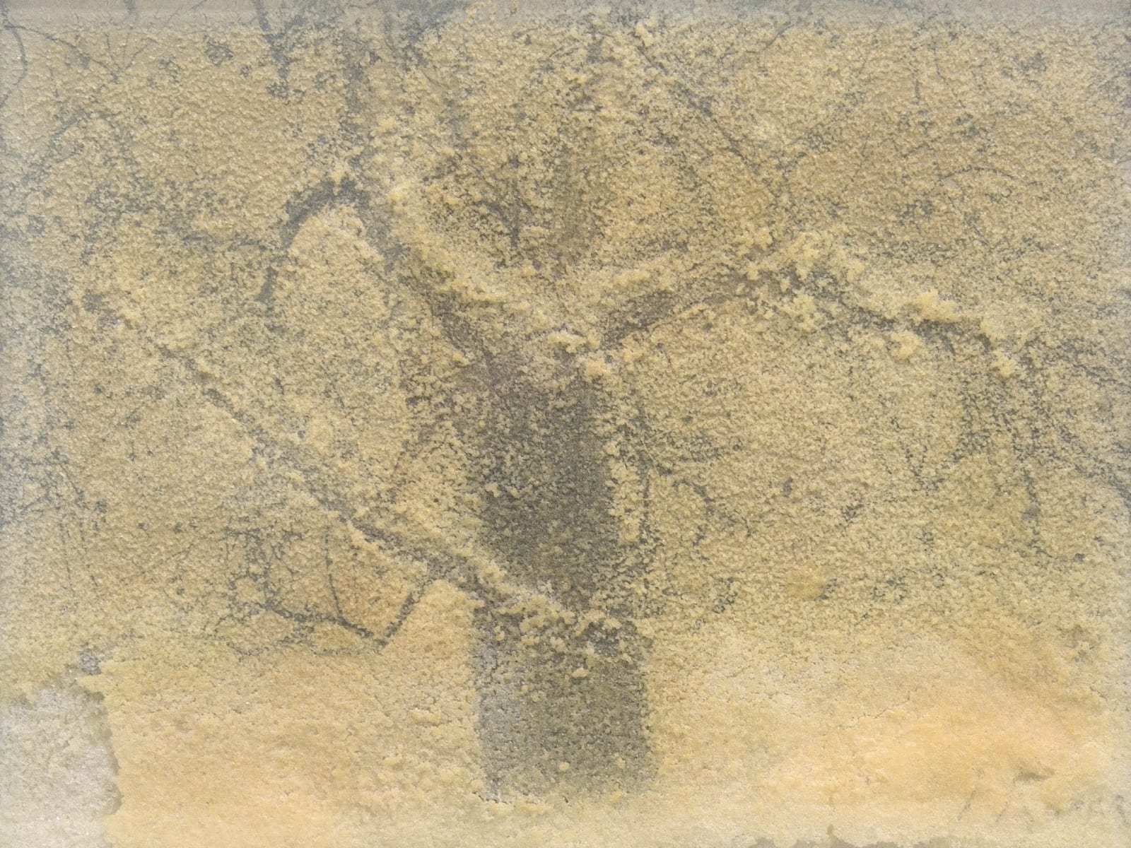 Yuri Kuper, Tree from the Snow Series, 1990