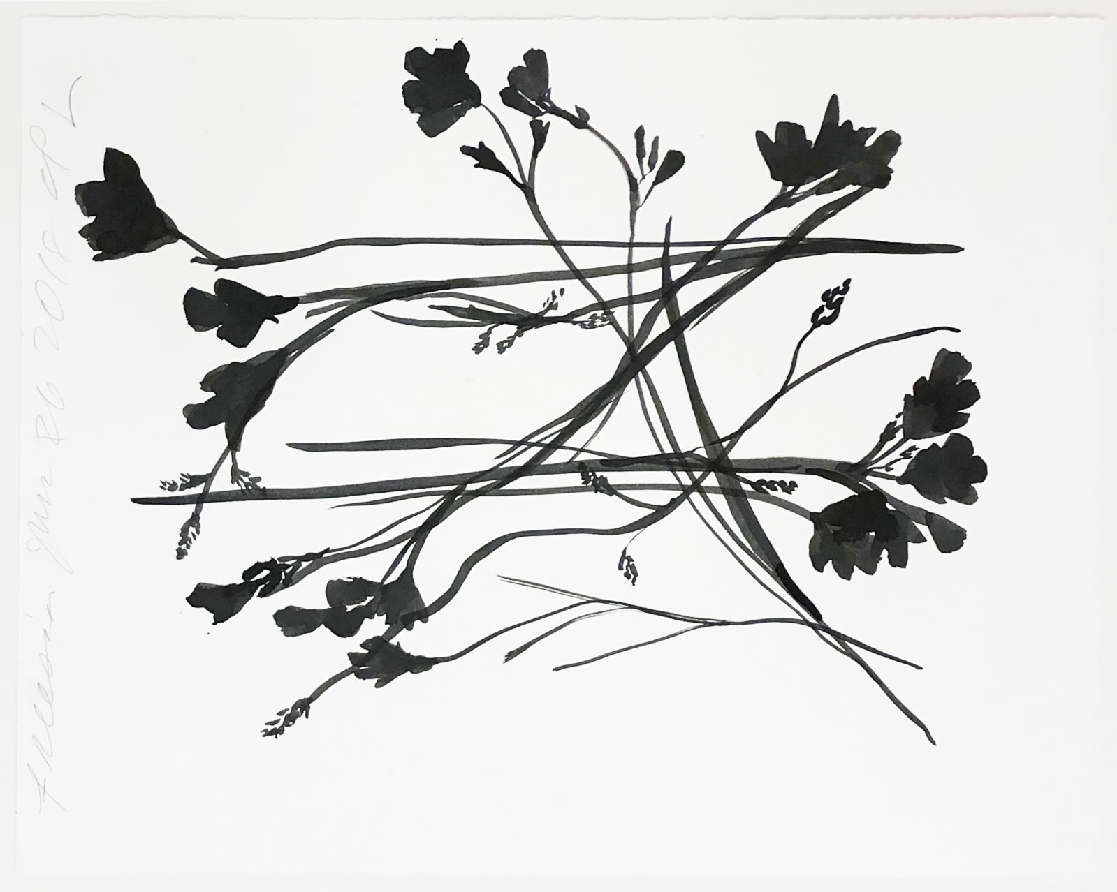 Donald Sultan, Freesia June 26 2018, 2018