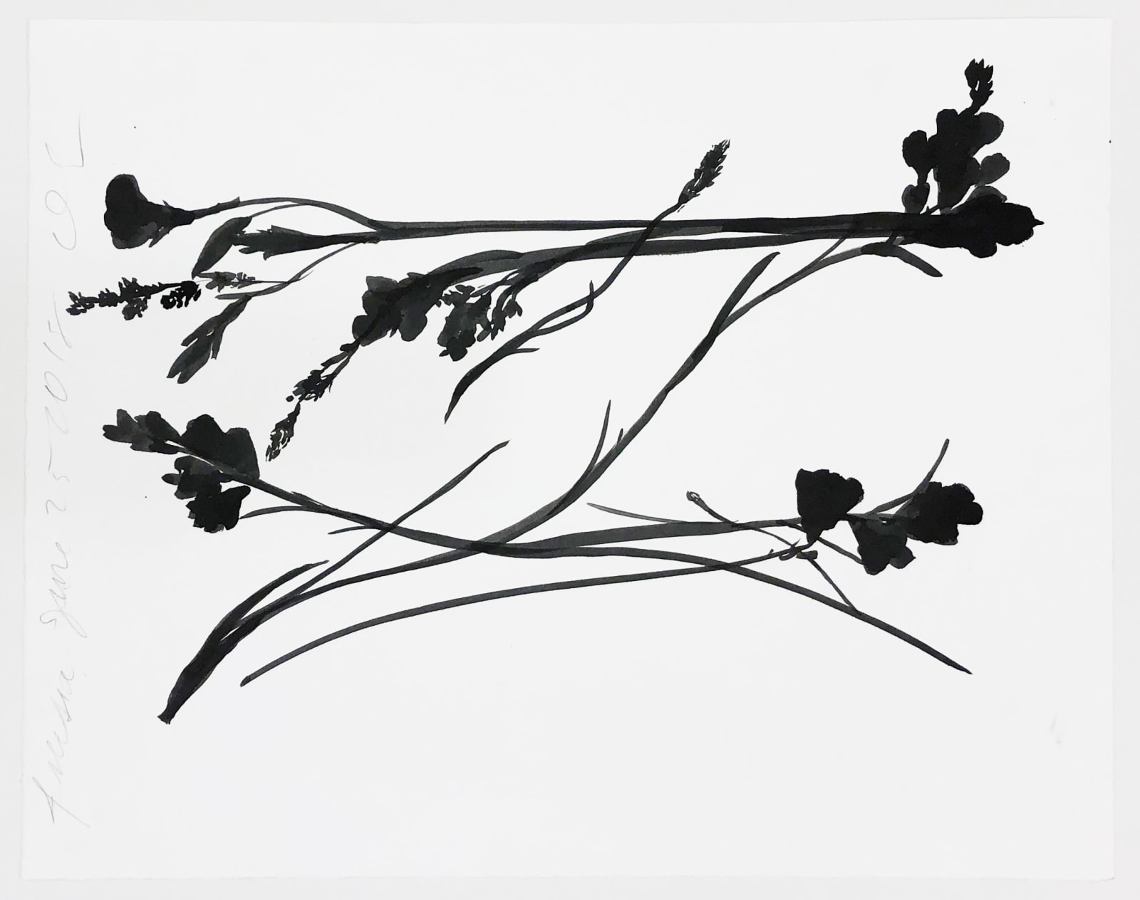 Donald Sultan, Freesia June 25 2018, 2018