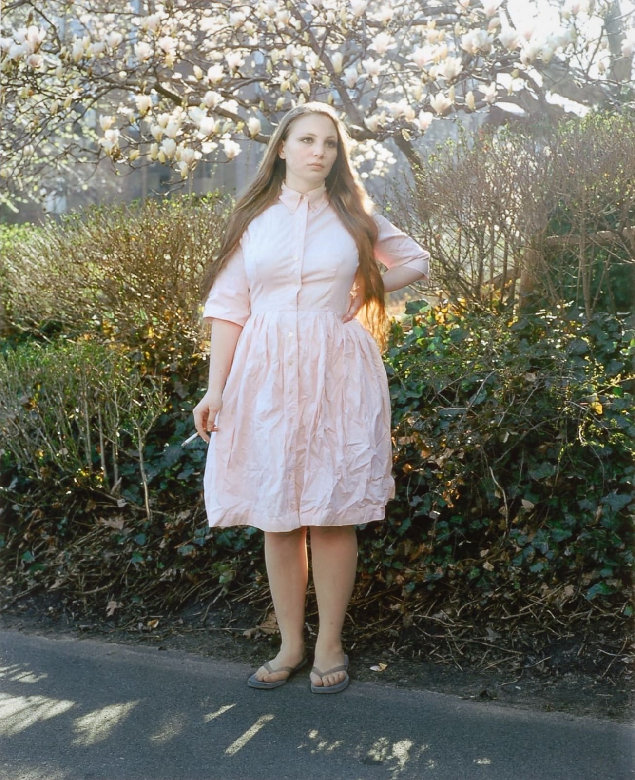 Tanyth Berkeley, Eleanor Spring Day, 2006