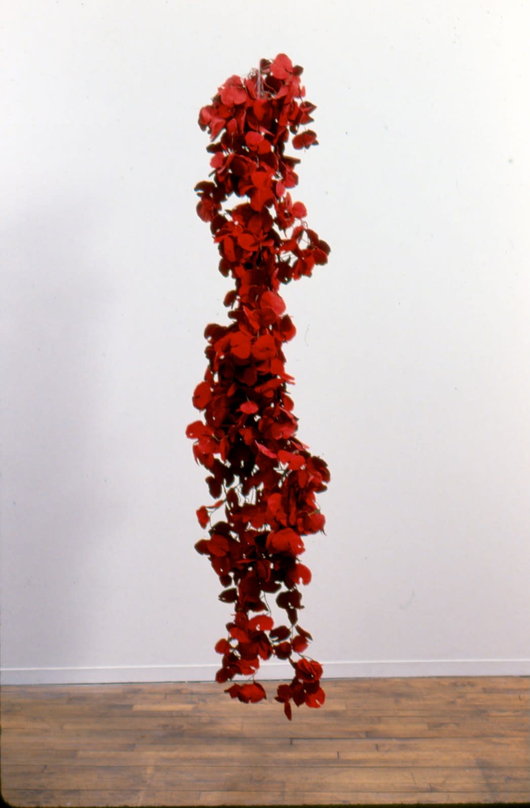 Julia Kunin, RedSuedeLeaves, 1993
