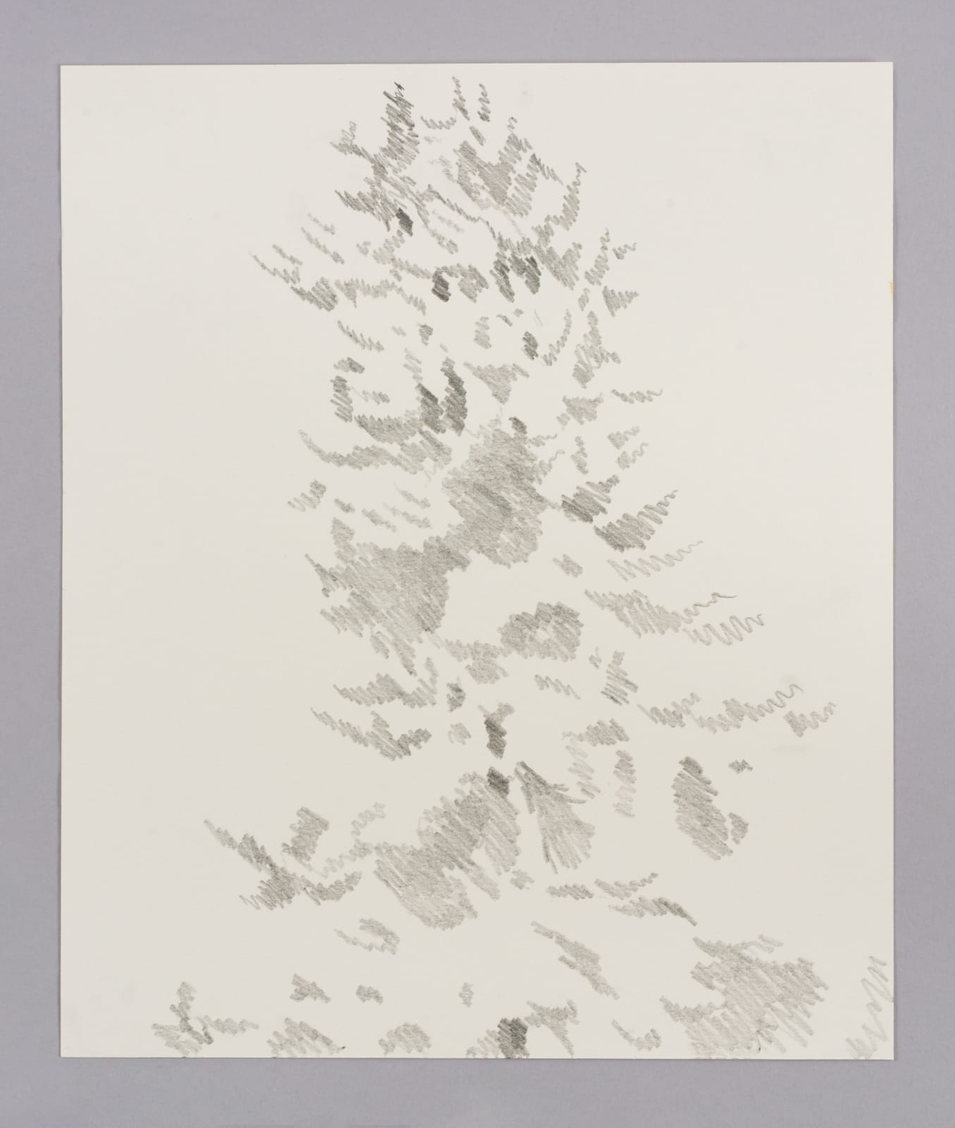 Janet Alling, Portfolio Two: Musical Notes of a Tree Nos. 1-20, 2006