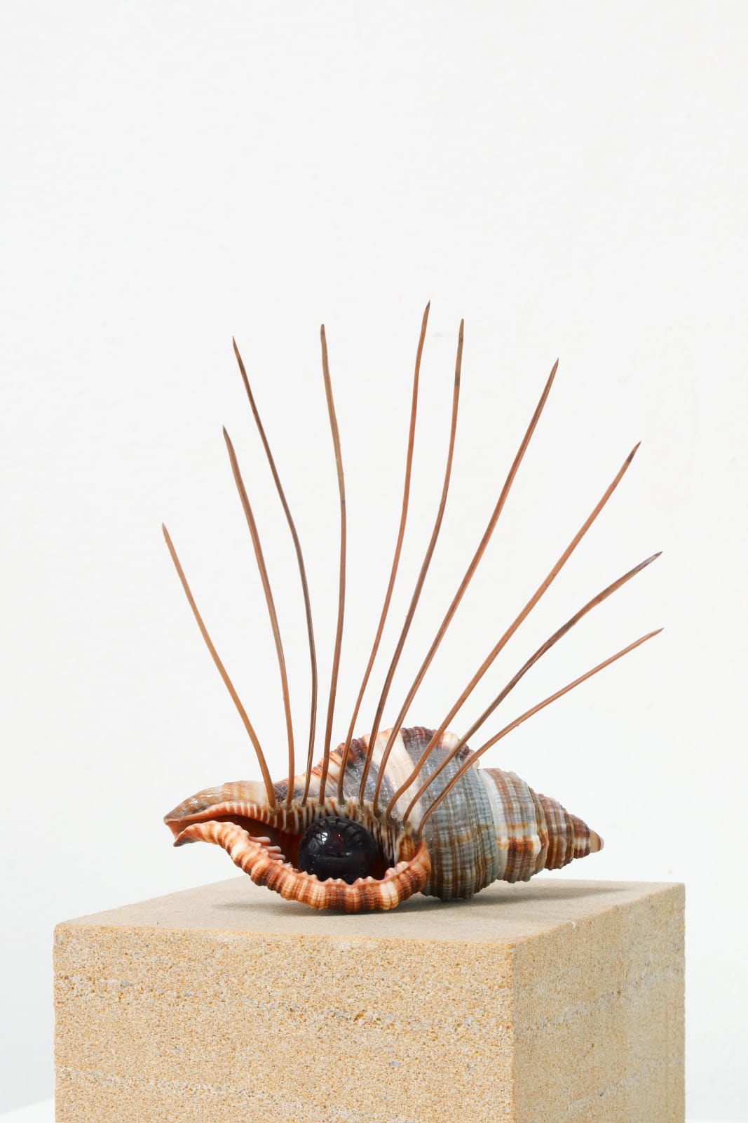 Katarzyna Przezwańska, Untitled, 2024