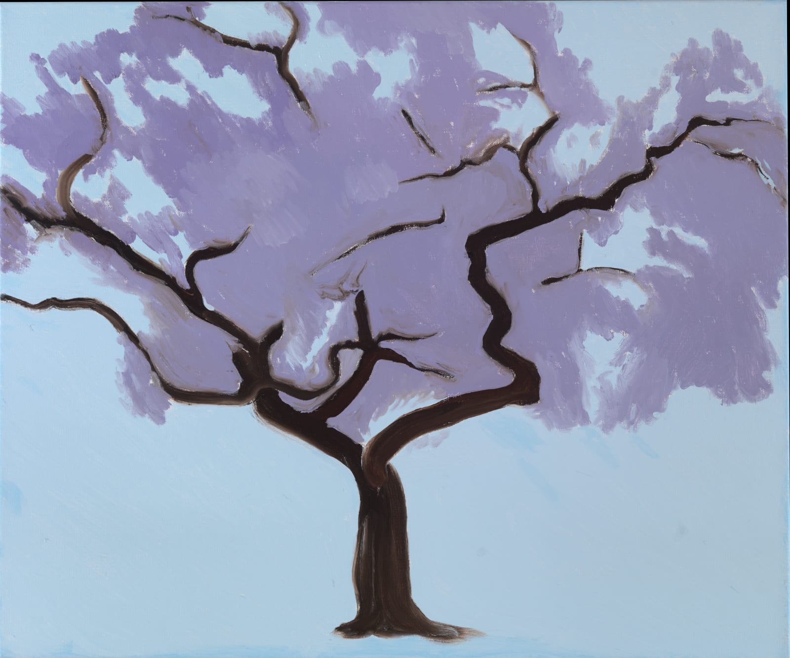 Janet Alling, Tree Portrait #36, 2008
