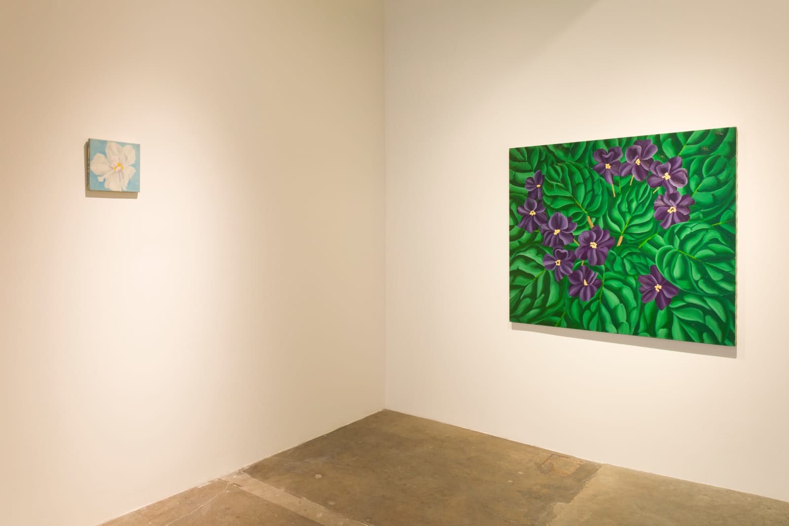 Janet Alling, African Violets VI, 1980