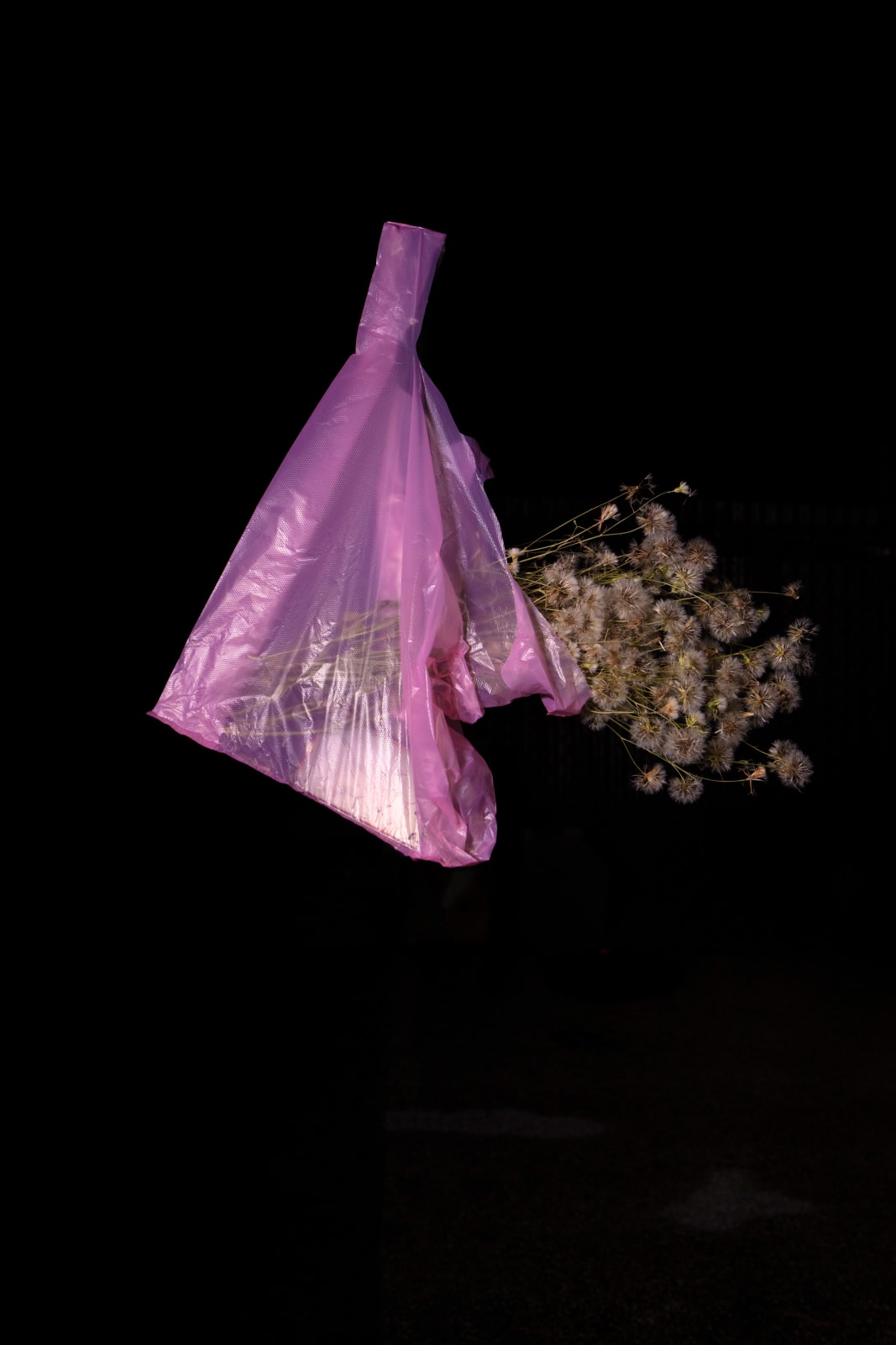 Emily Peacock, Burning Desire (Outdoor Recreation 13), 2024