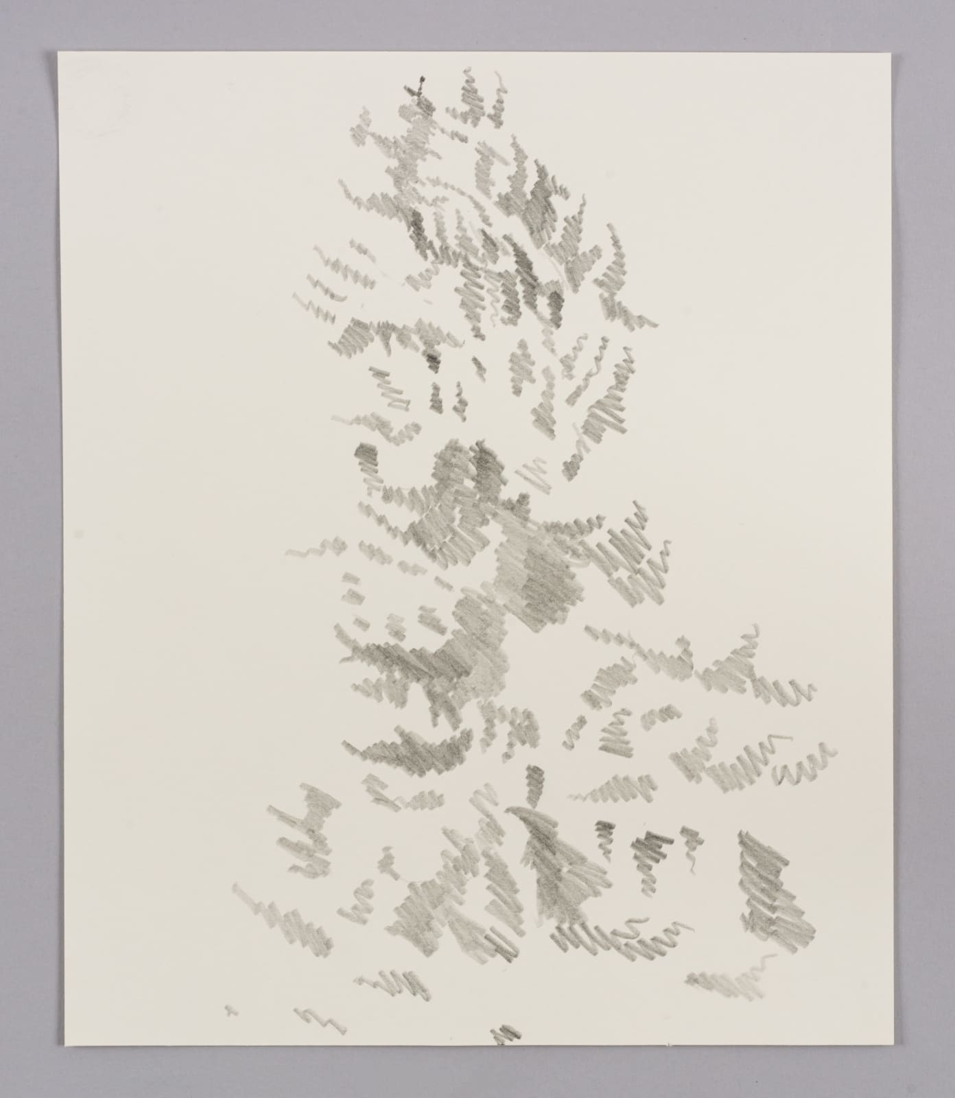 Janet Alling, Portfolio Two: Musical Notes of a Tree Nos. 1-20, 2006