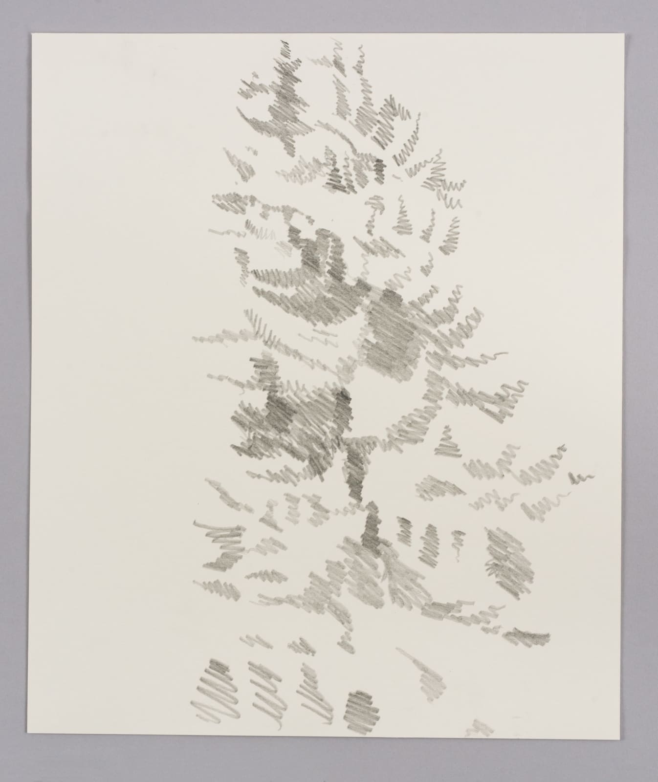Janet Alling, Portfolio Two: Musical Notes of a Tree Nos. 1-20, 2006