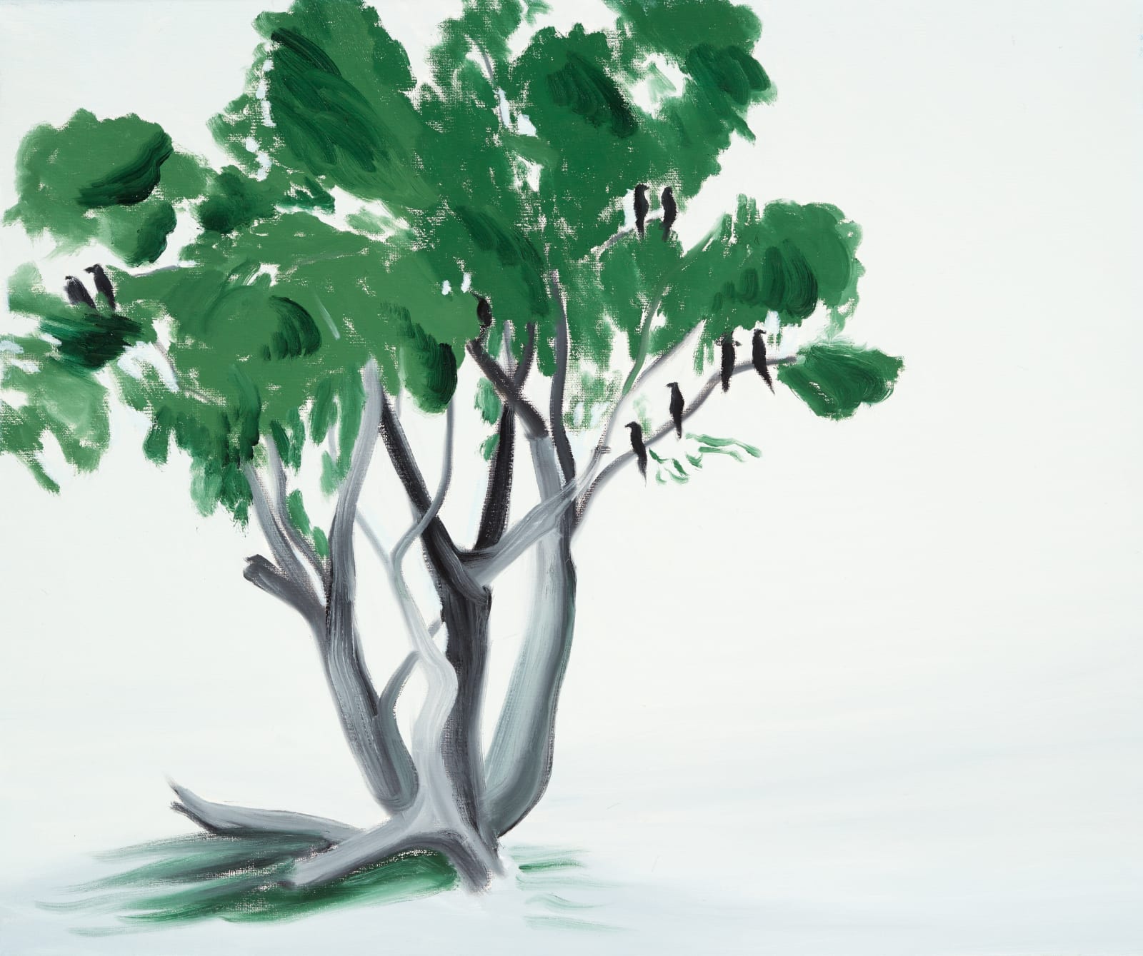 Janet Alling, Tree Portrait #38: River Red Gum Tree, Botswana, 2008