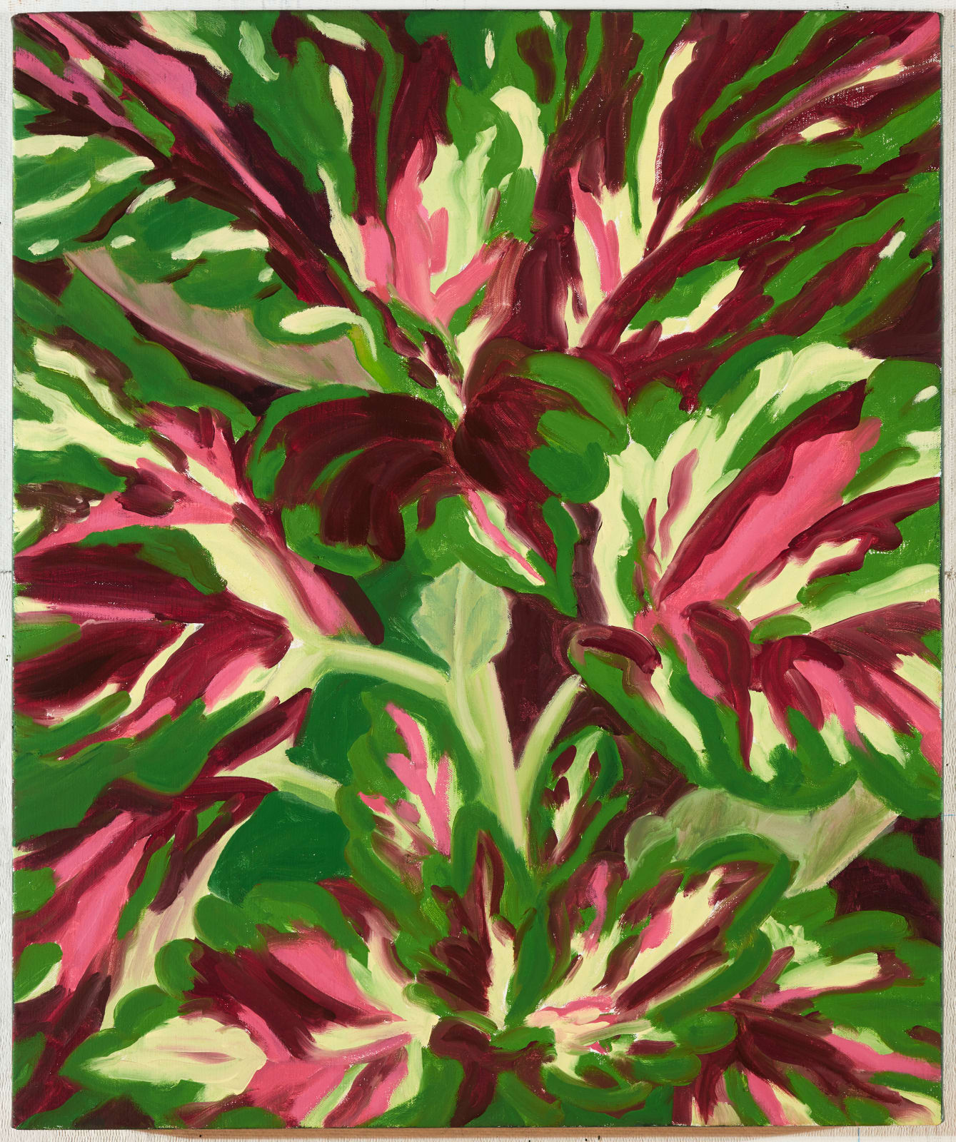 Janet Alling, Coleus B–Divergence, 2019