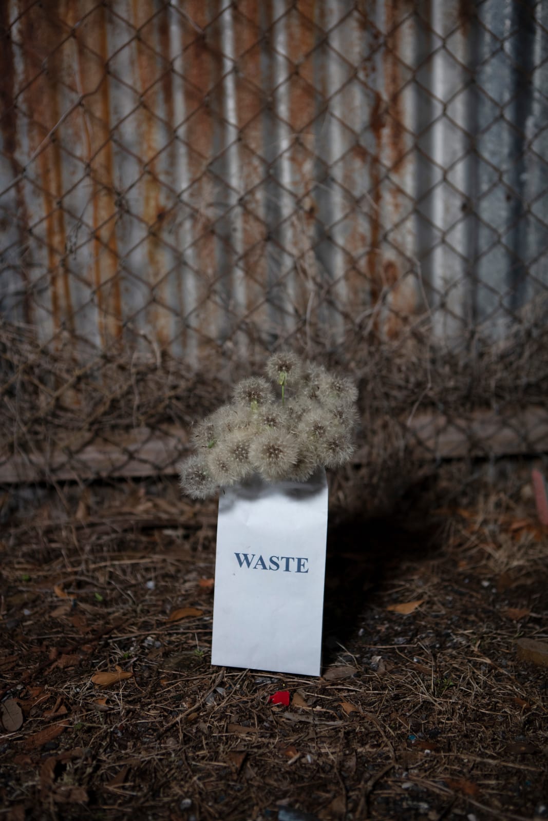 Emily Peacock, Burning Desire (Outdoor Recreation 18), 2024