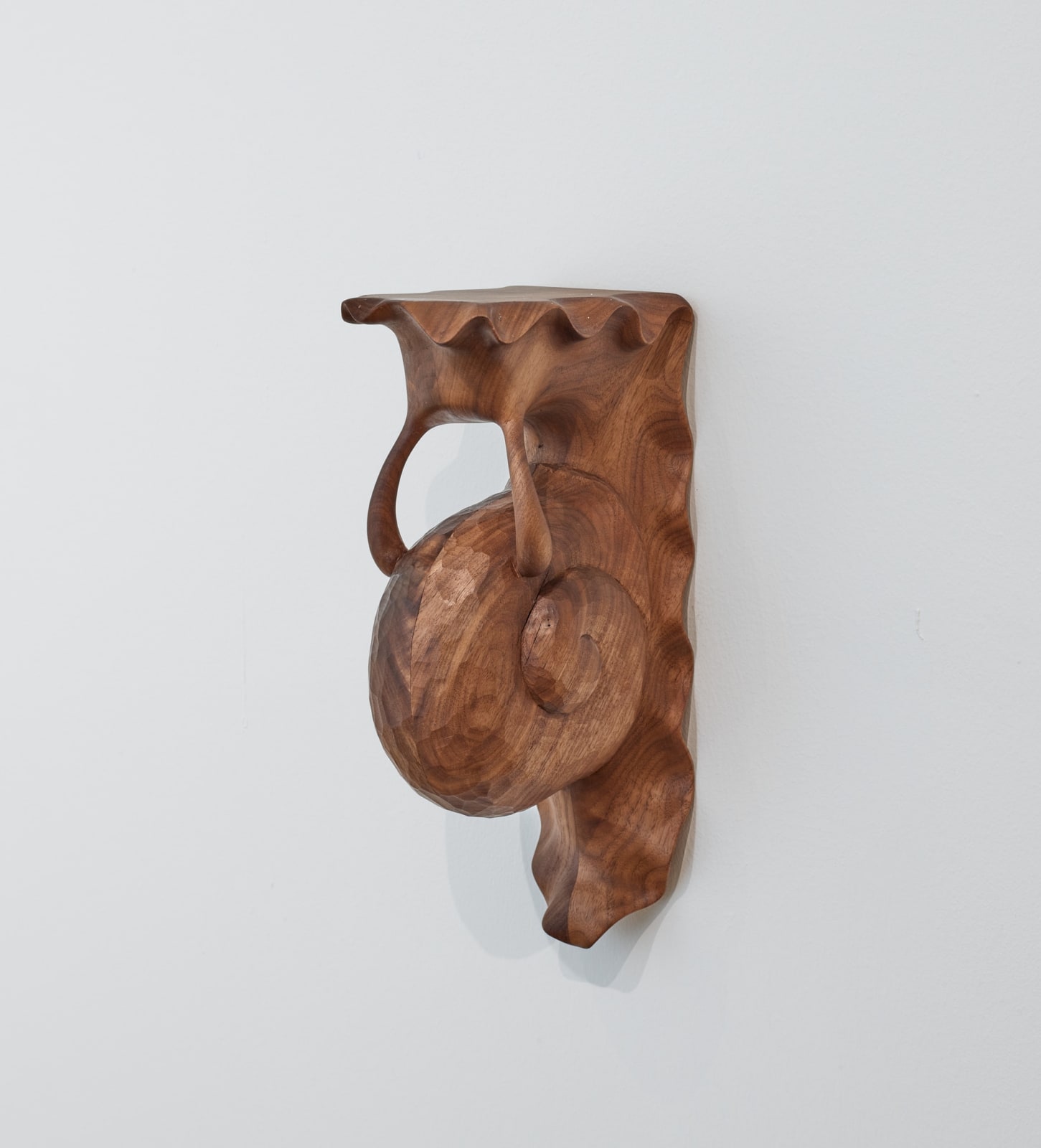 Miles Lawton Gracey, Snailshelf (Nancy), 2025