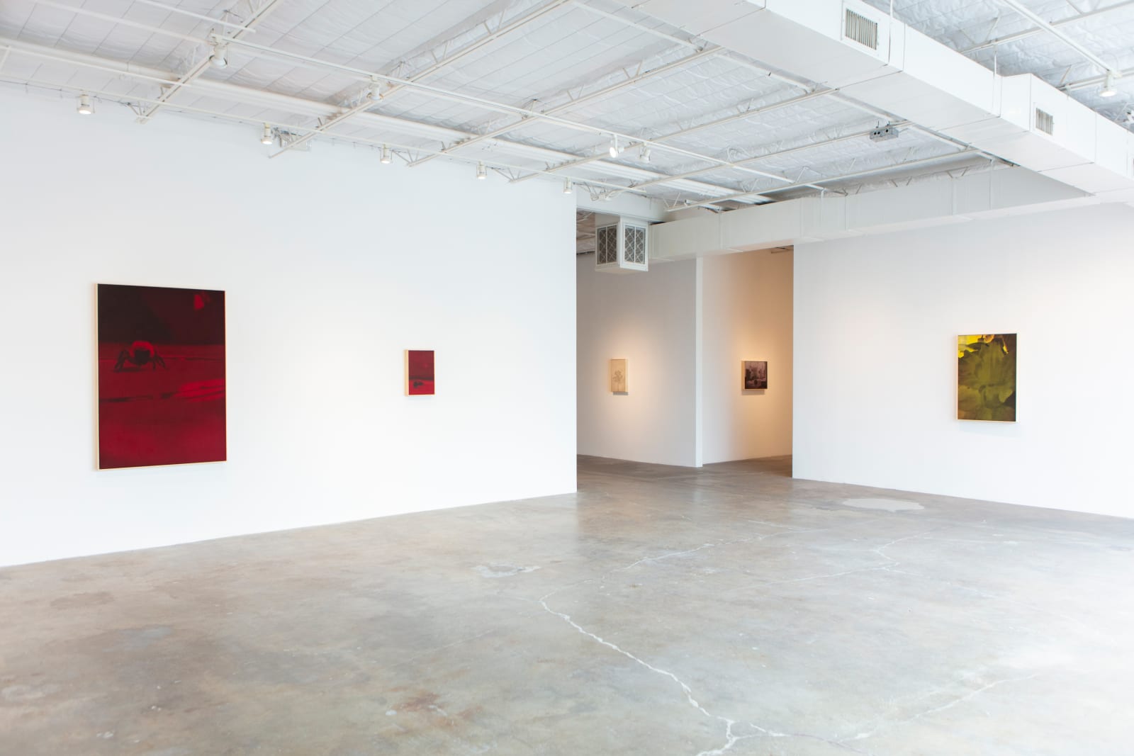 Seth Cameron, Narcissus (Close Up), 2024