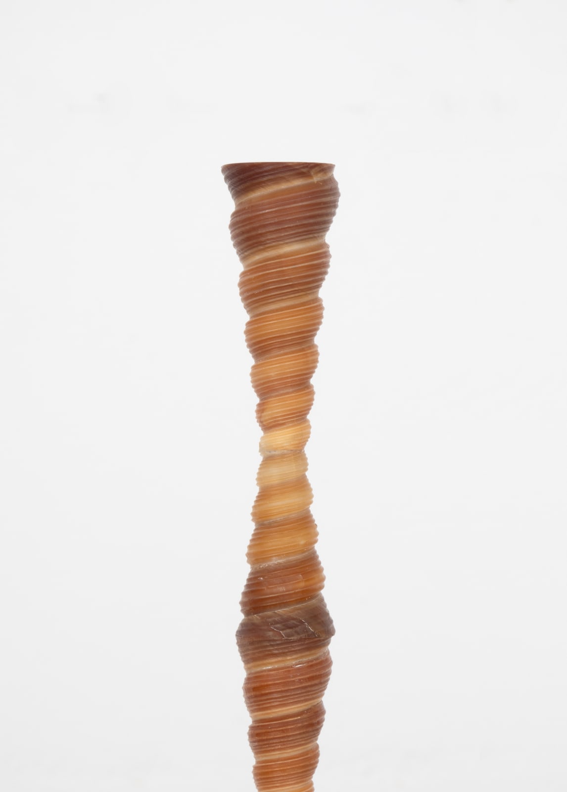 Katarzyna Przezwańska, shell tower, 2025