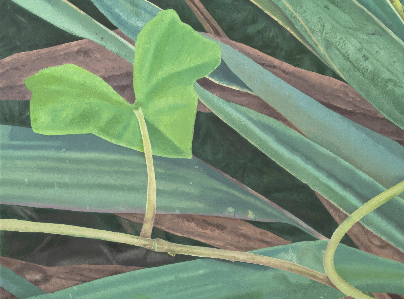 Michael Cline, Broken Wheel, 2024