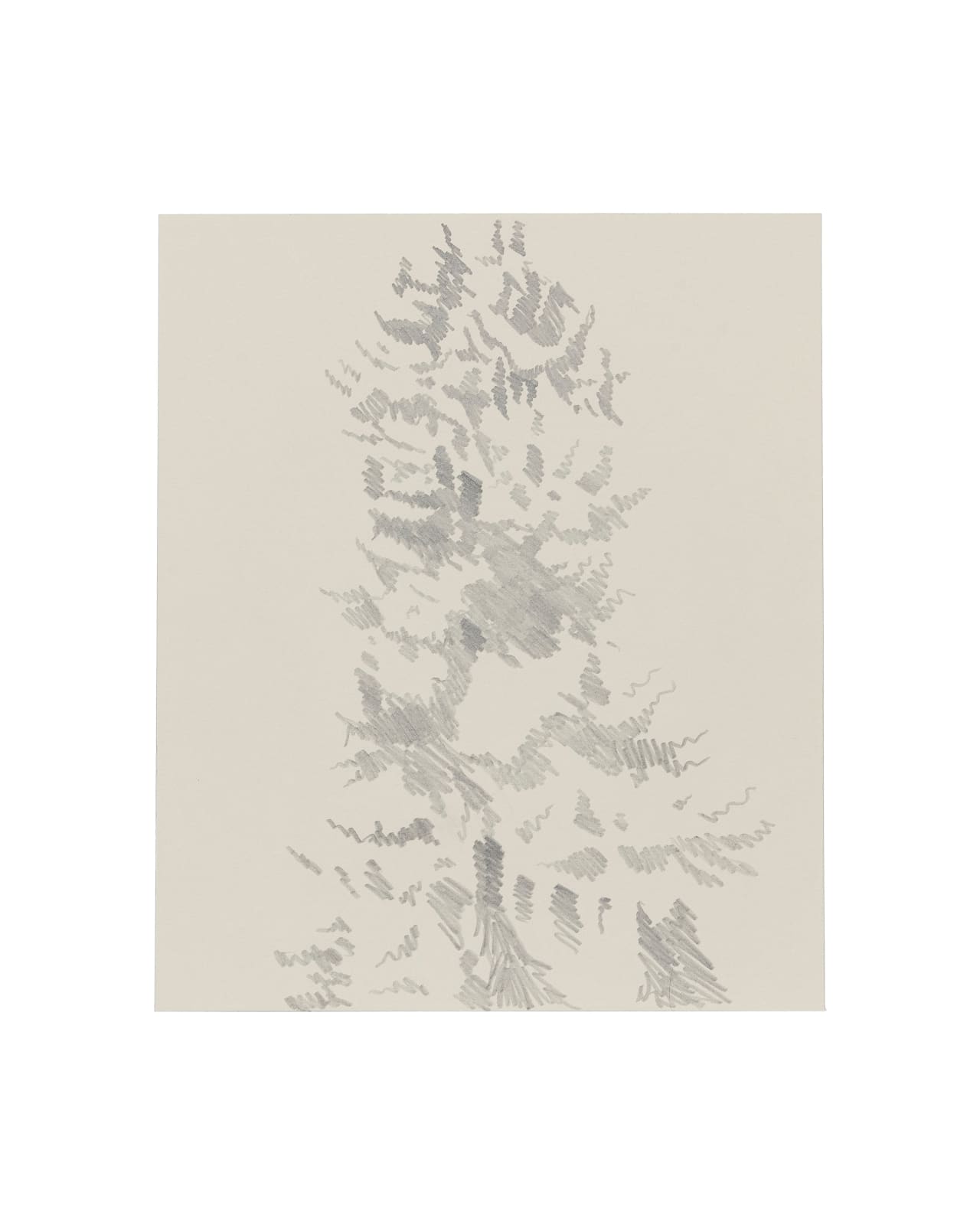 Janet Alling, Portfolio Two: Musical Notes of a Tree Nos. 1-20, 2006