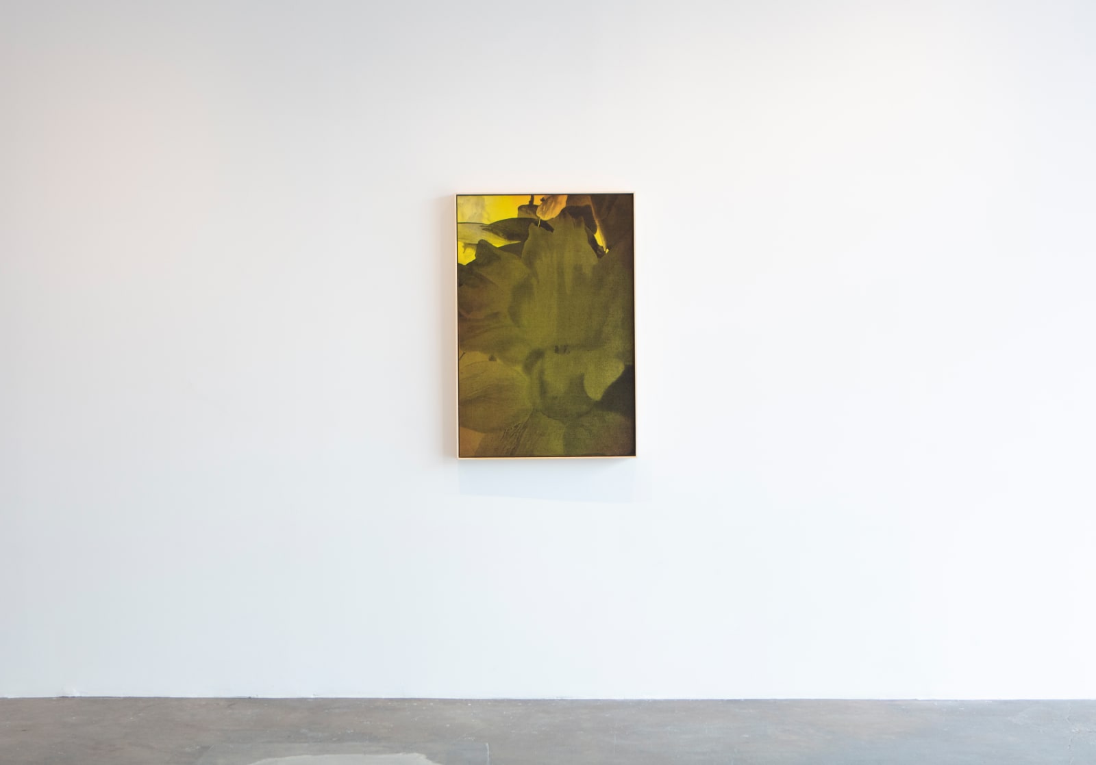 Seth Cameron, Narcissus (Close Up), 2024