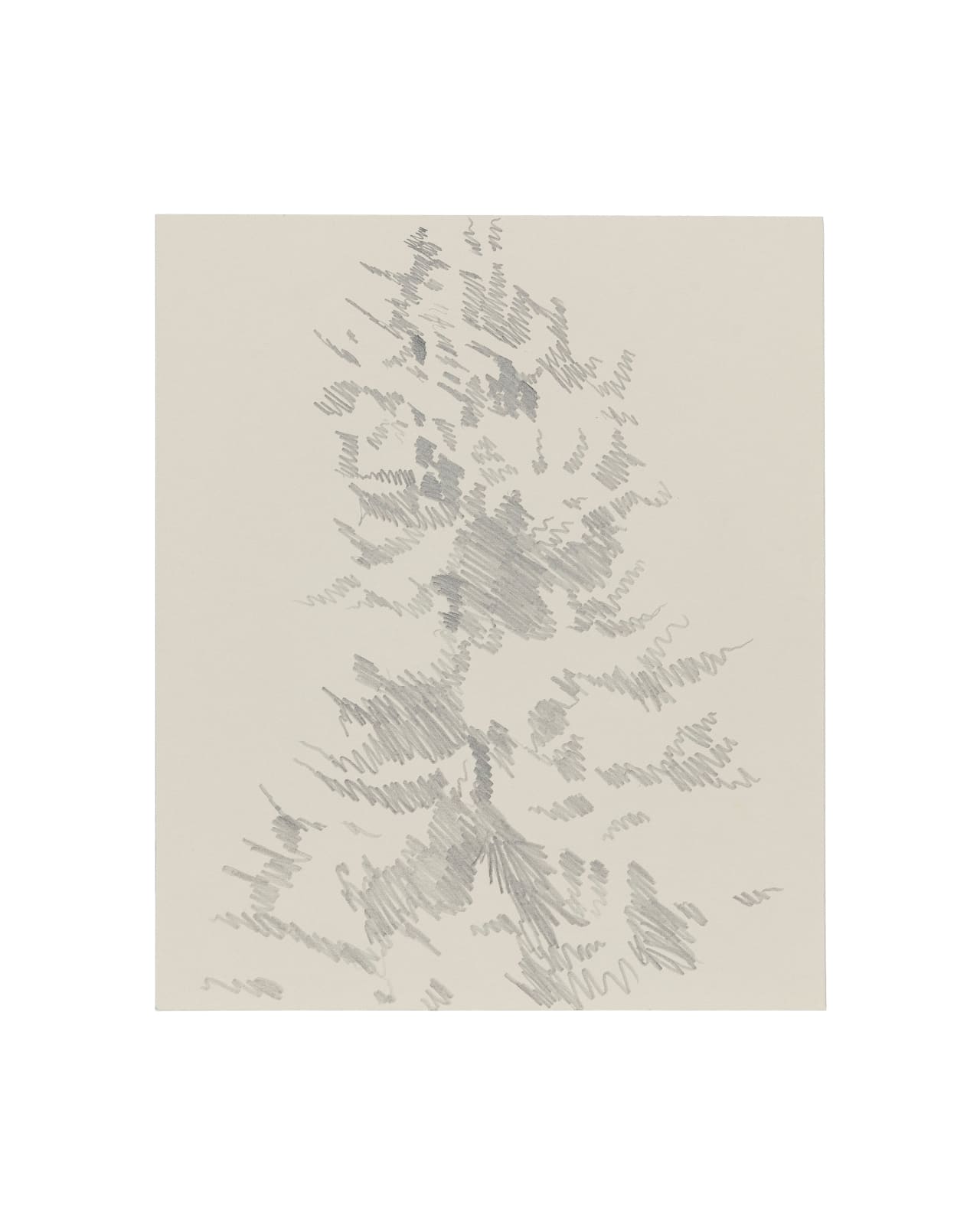 Janet Alling, Portfolio Two: Musical Notes of a Tree Nos. 1-20, 2006