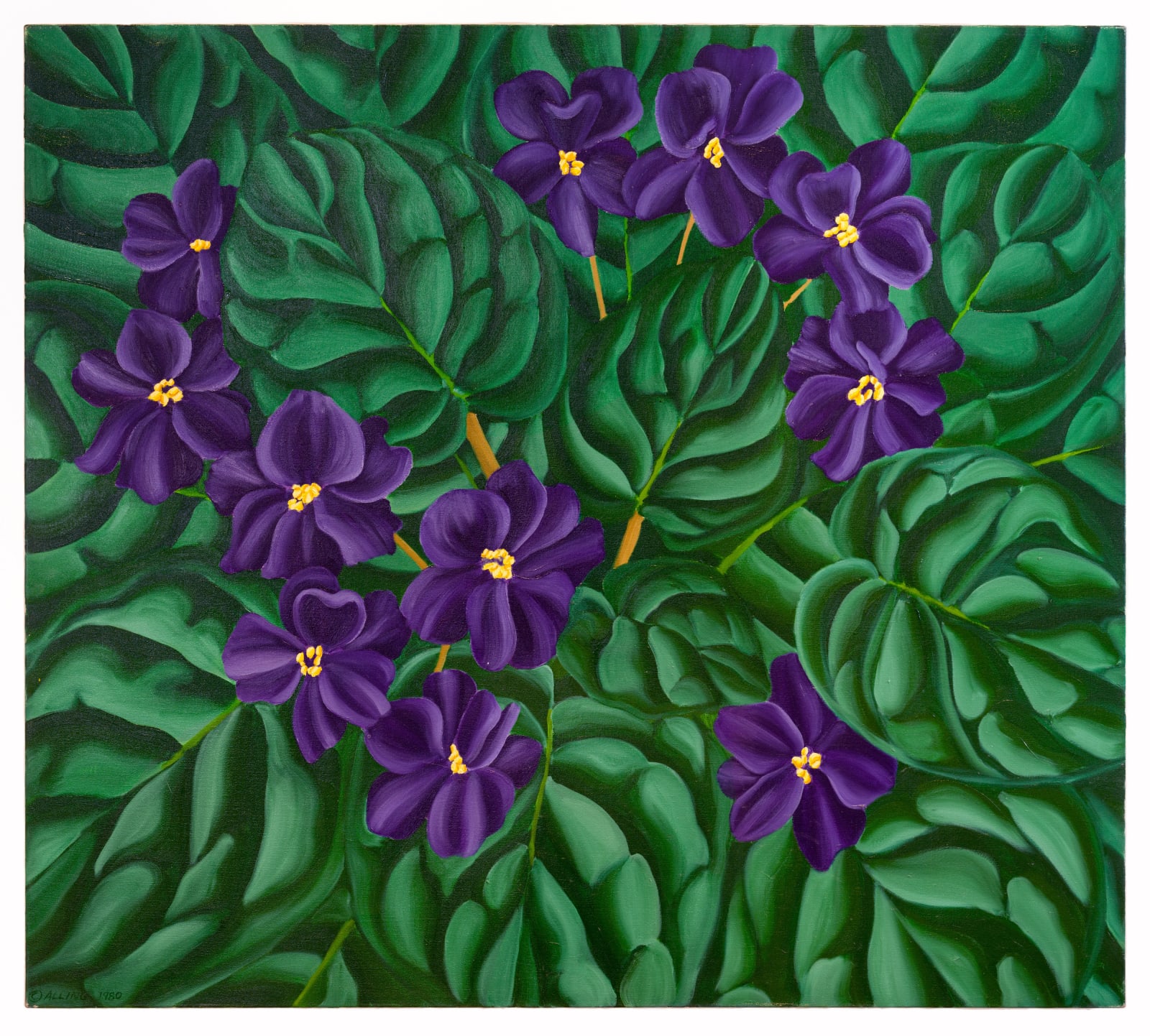 Janet Alling, African Violets VI, 1980