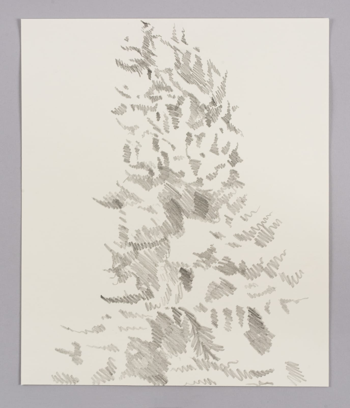 Janet Alling, Portfolio Two: Musical Notes of a Tree Nos. 1-20, 2006