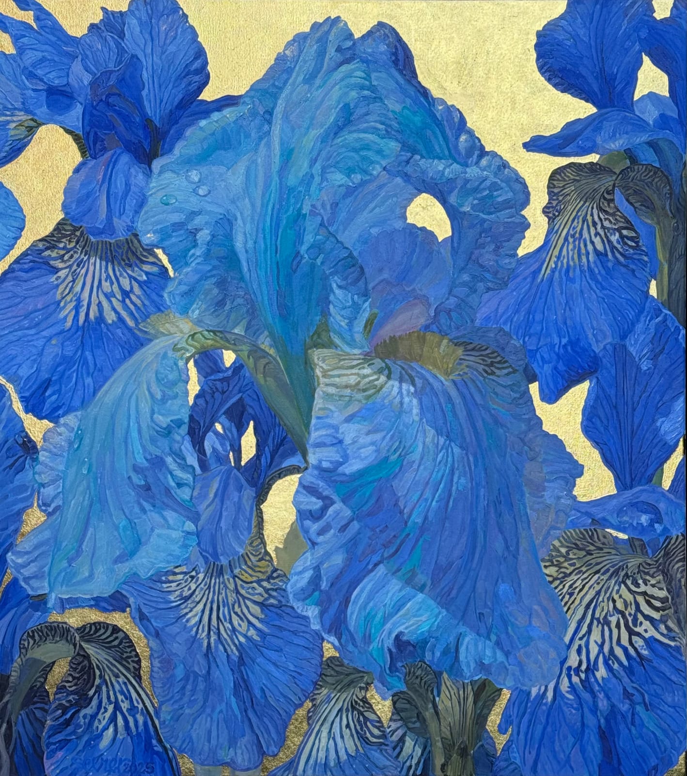 JOSEPH SEVIER, New Mexico Blue Iris