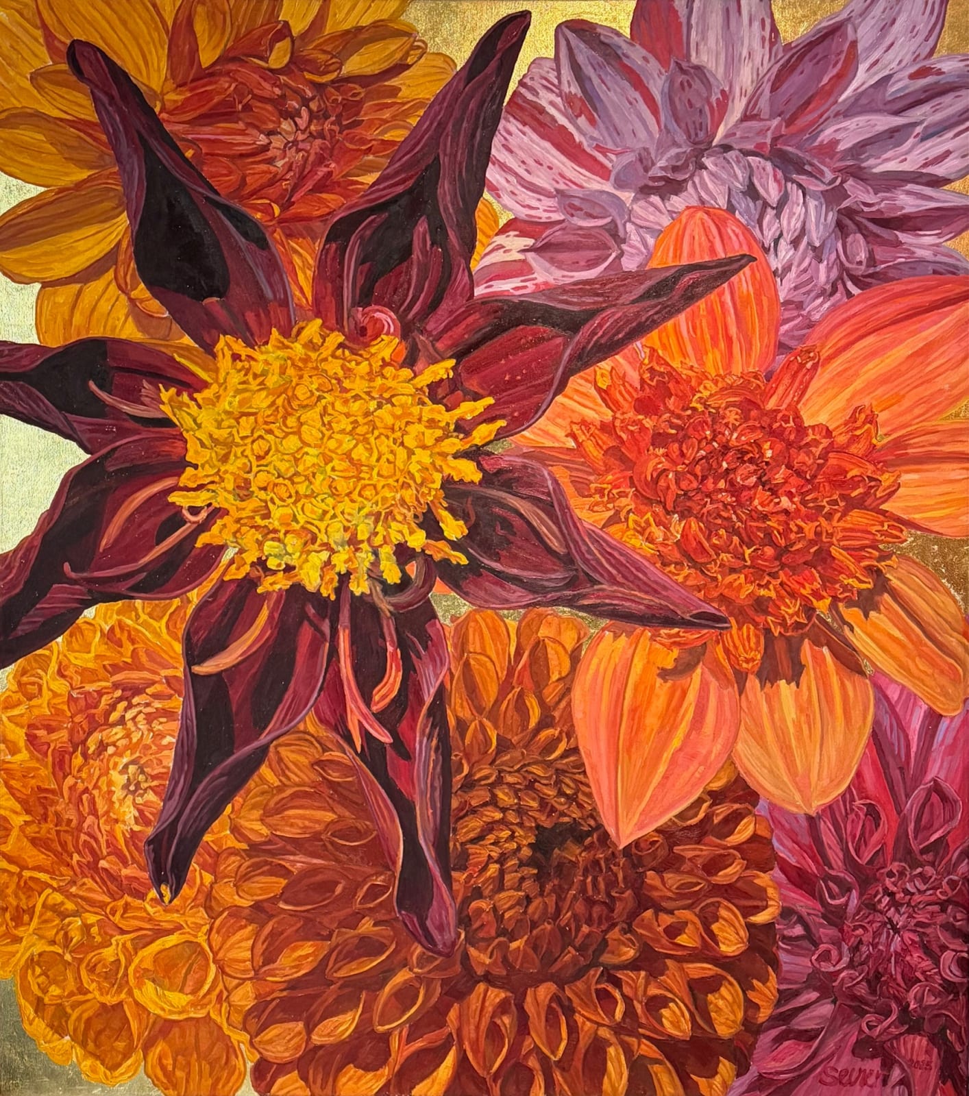 Dahlias II