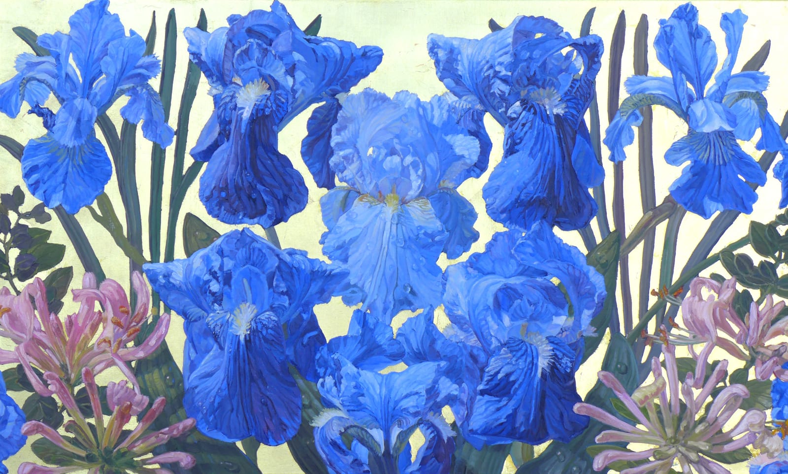 Joseph Sevier, Honeysuckle Iris, 2019