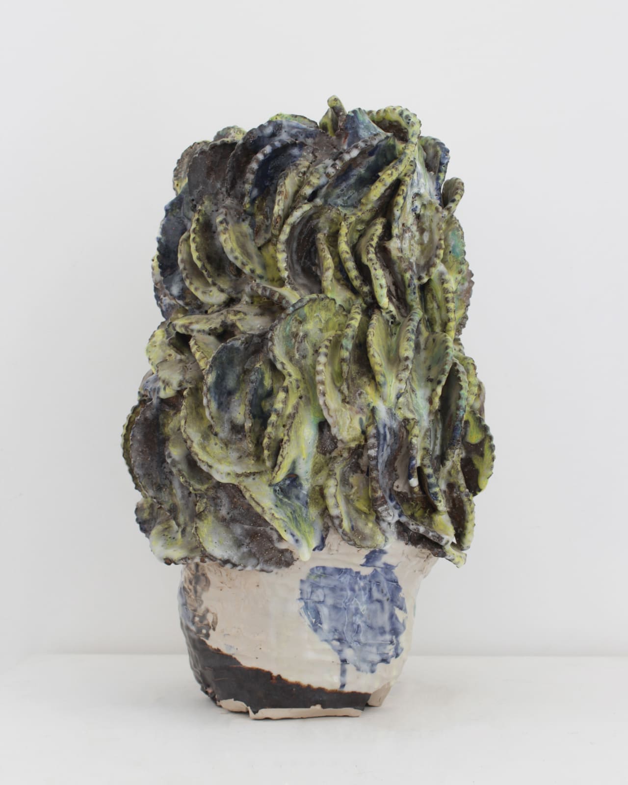 Chudamani Clowes, Head 7, 2025