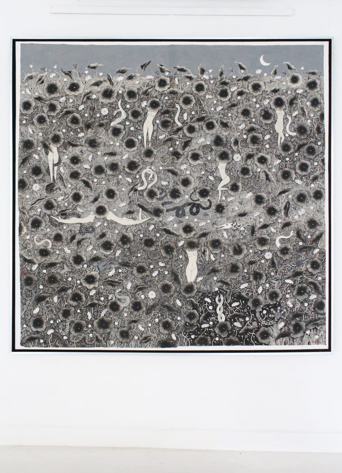 Nuwan Nalaka, Sutra XXXII, 2019