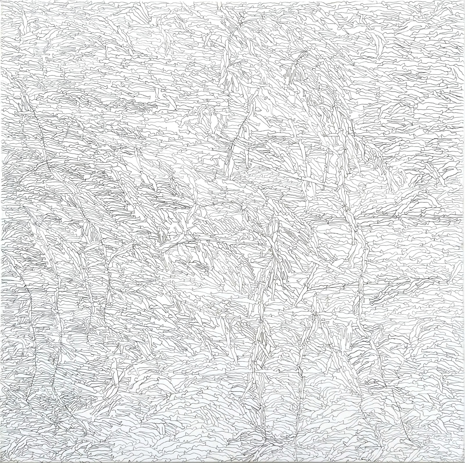 Chandraguptha Thenuwara, Camouflage-Thorns-Lotus, 2016