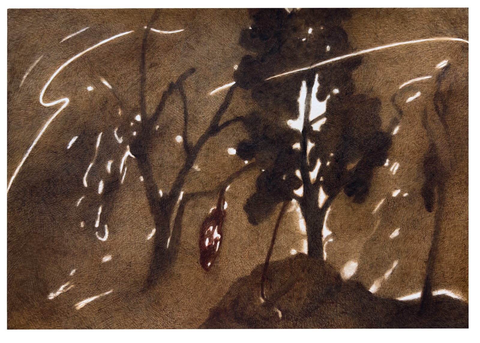 Chandra Bhattacharjee, Untitled, 2025