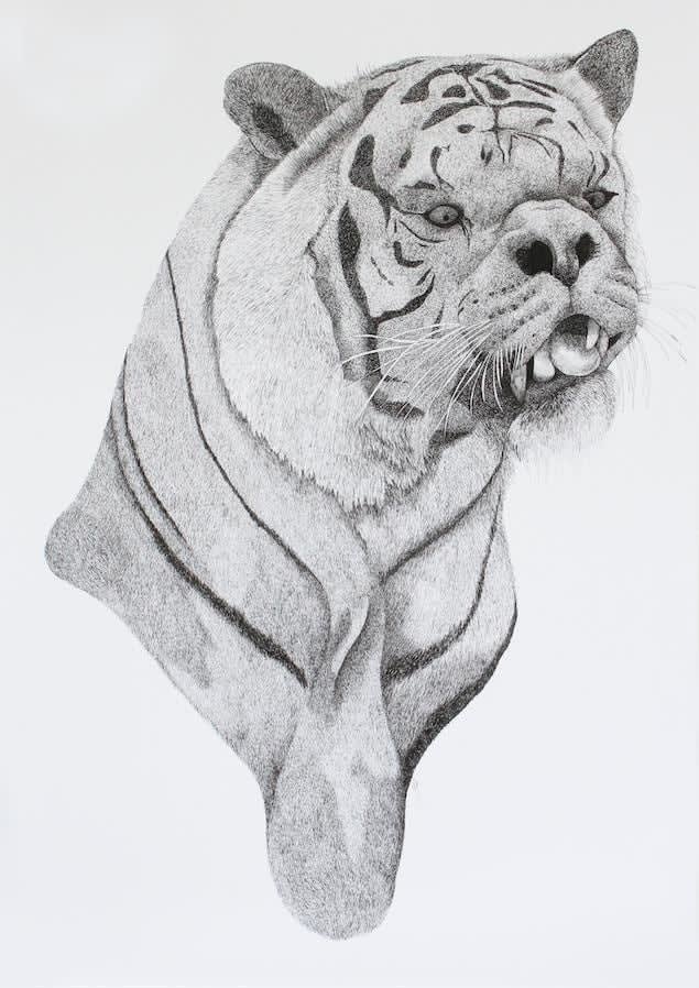 Firi Rahman, Mongrel, 2016