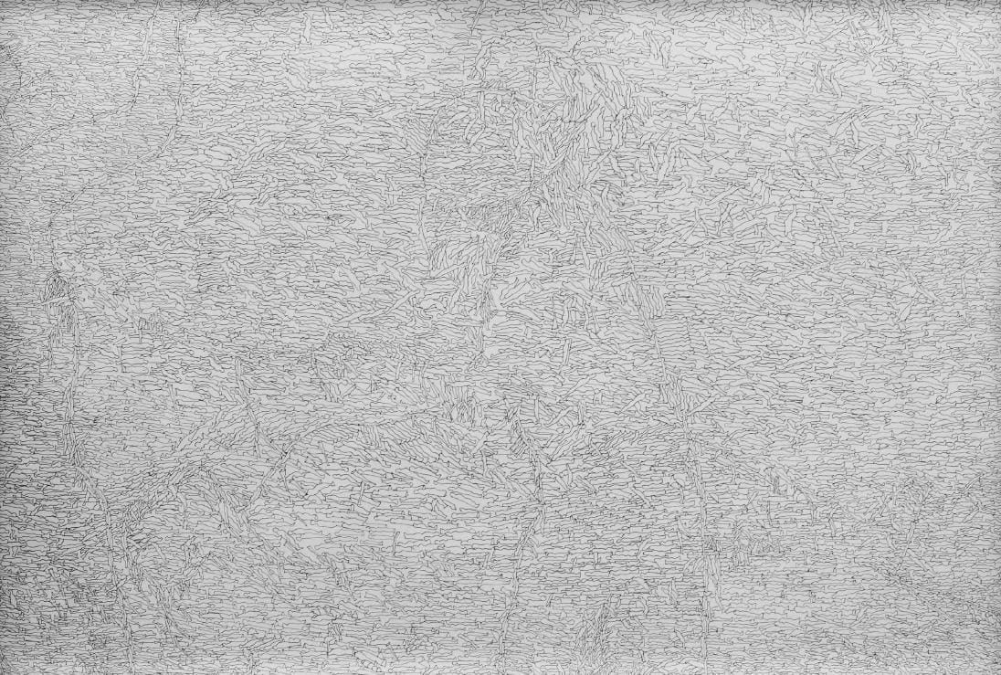 Chandraguptha Thenuwara, Camouflage, 2015