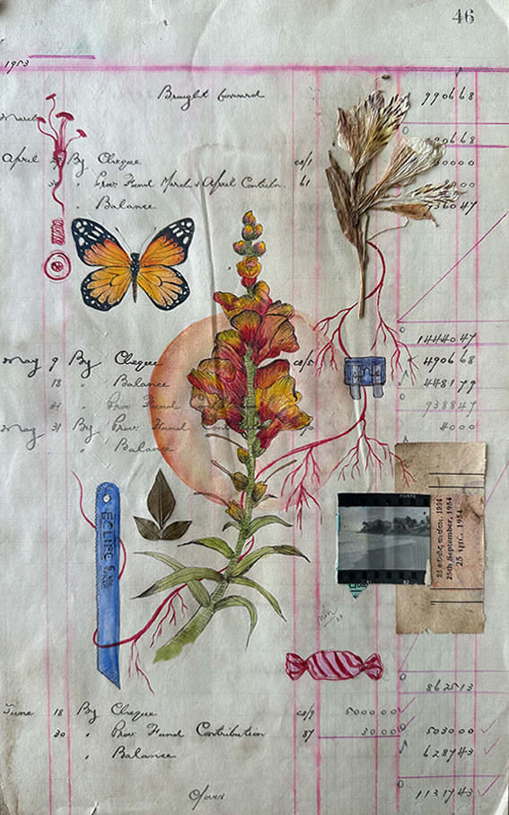 Mika Tennekoon, Antirrhinum majus, 2025