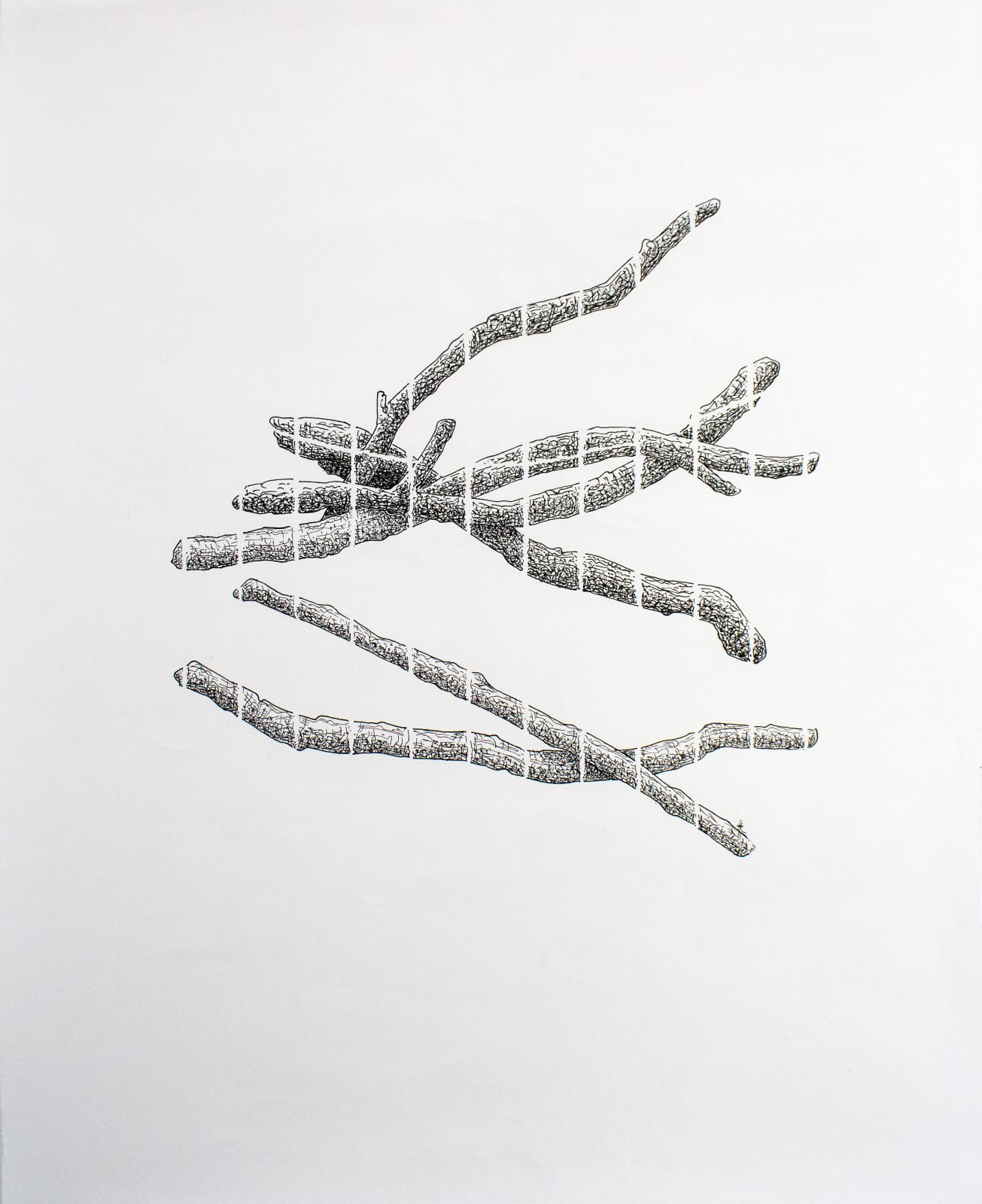 Firi Rahman, Enclosure XI, 2022